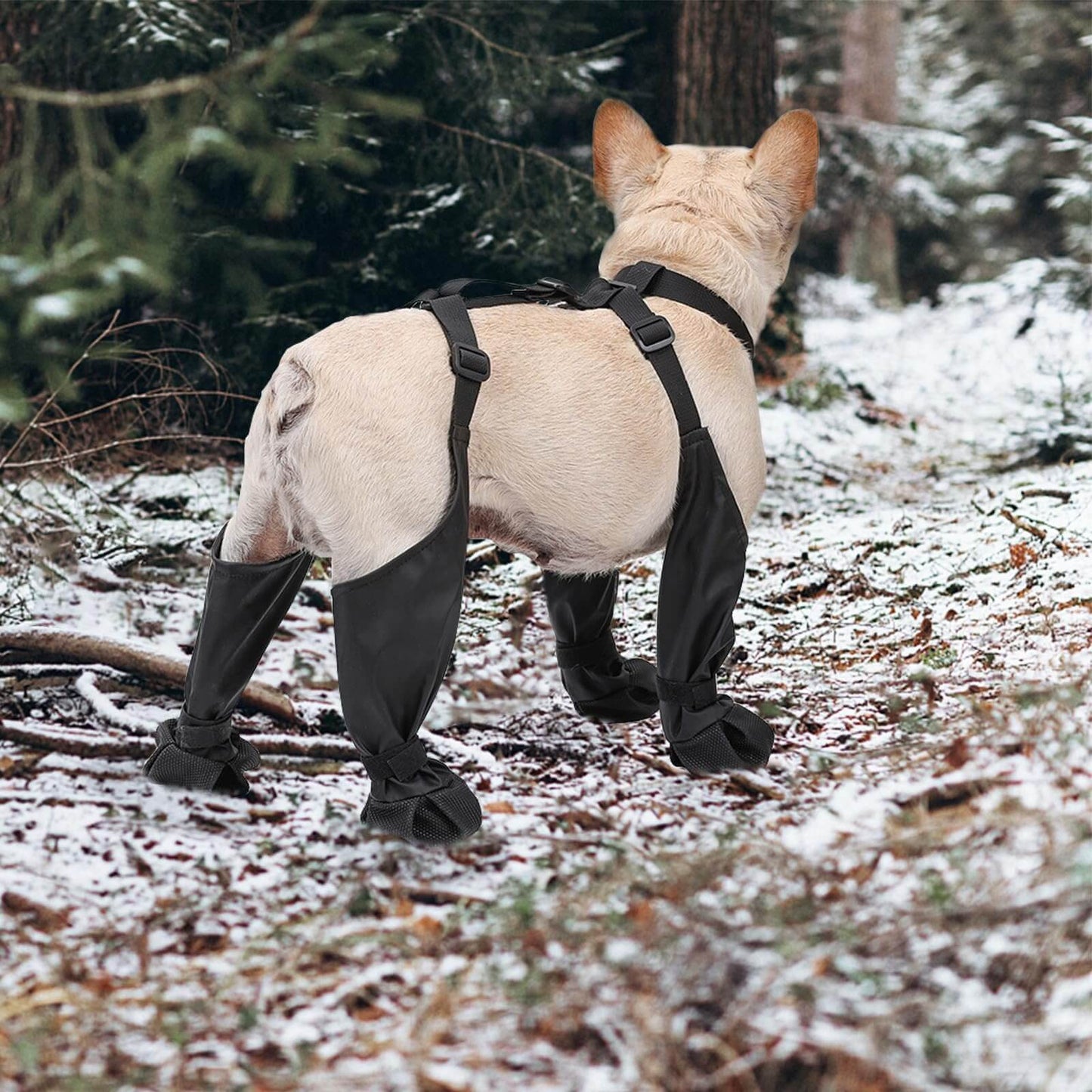 waterproof boots for small and large dogs