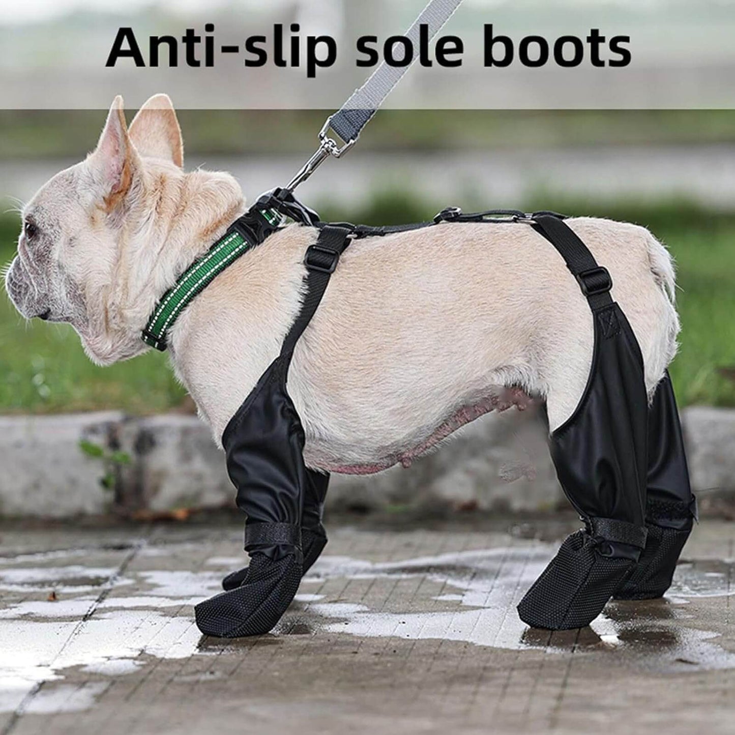 non slip dog boots