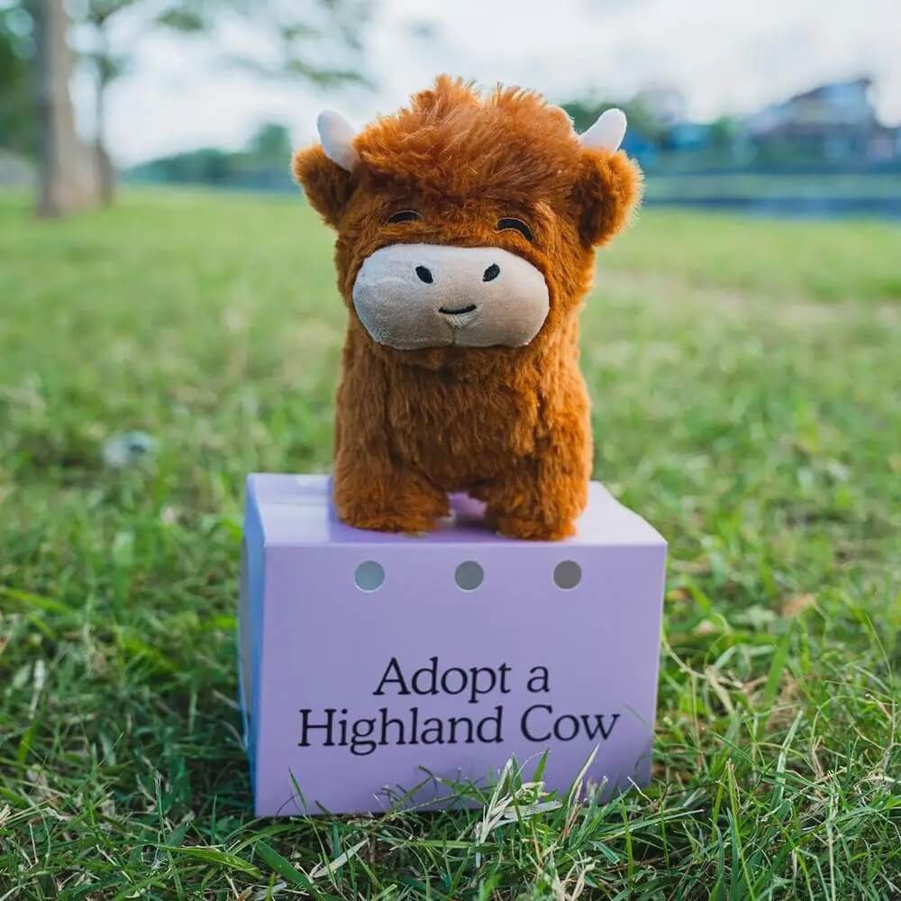 highland cow stuffed animal