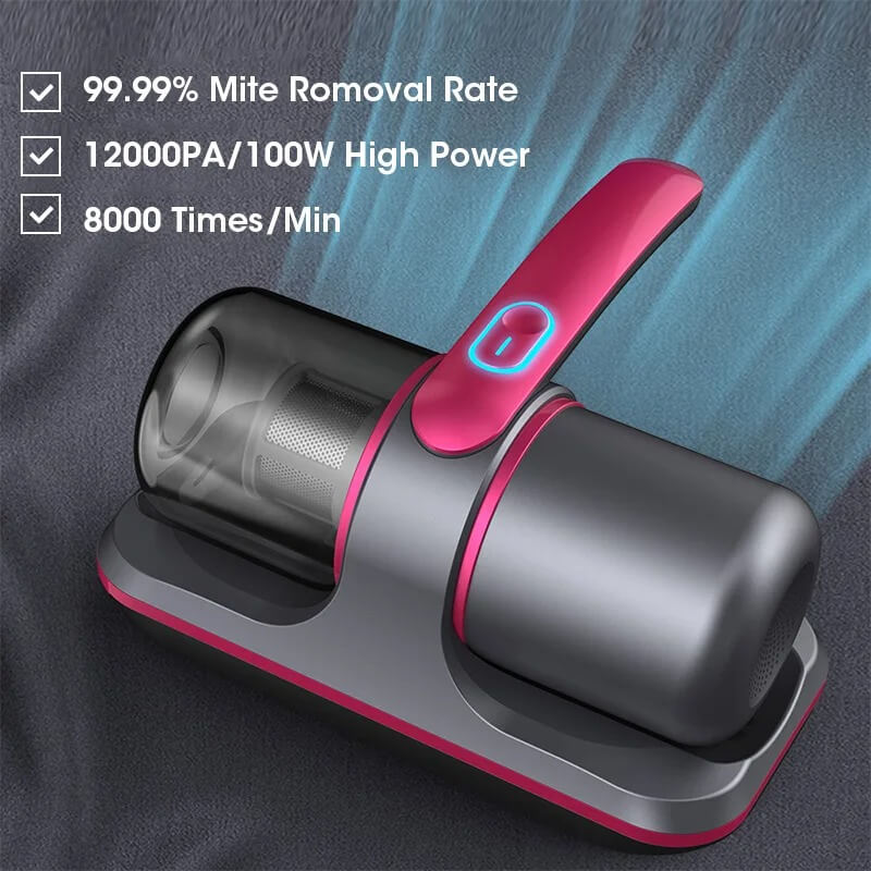 portable mattress cleaner