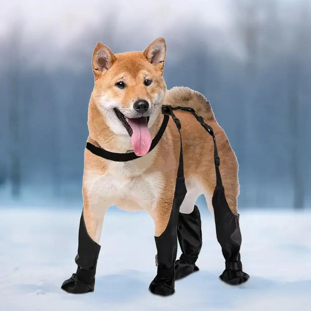 waterproof dog boots