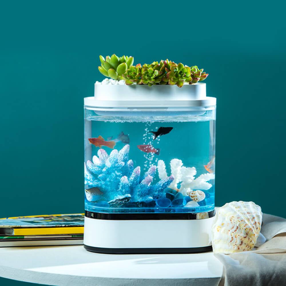 aquariums