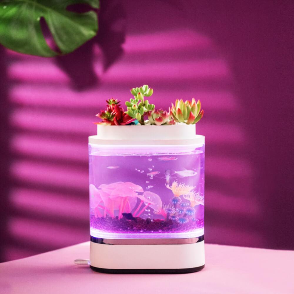 small fish tank
