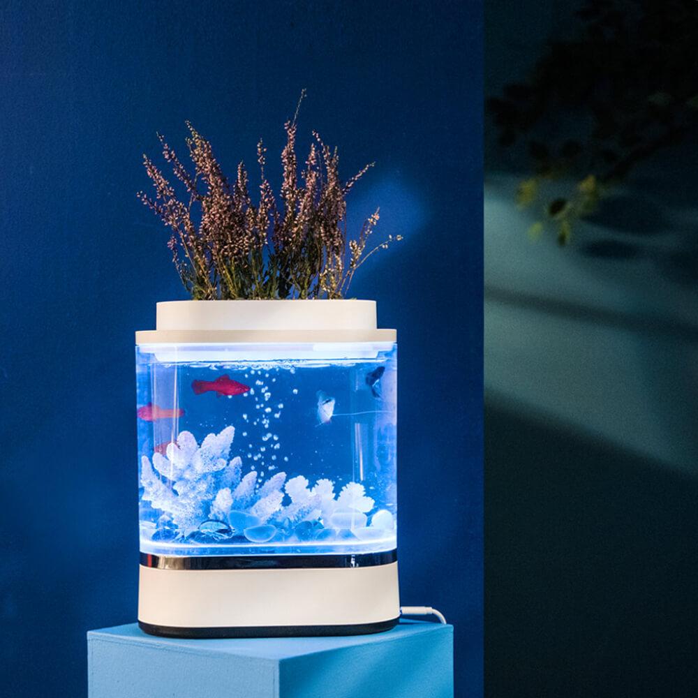 fish tank