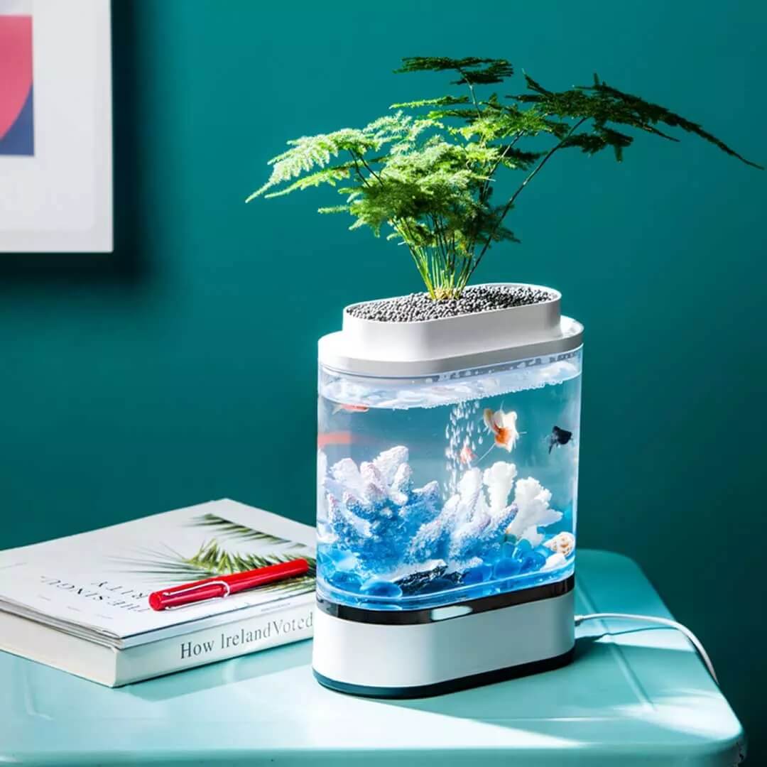 fish aquarium