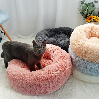 Calming Dog Beds