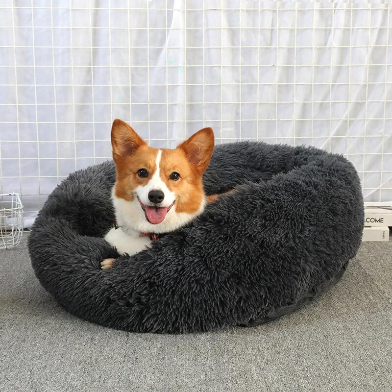 Calming Dog Beds