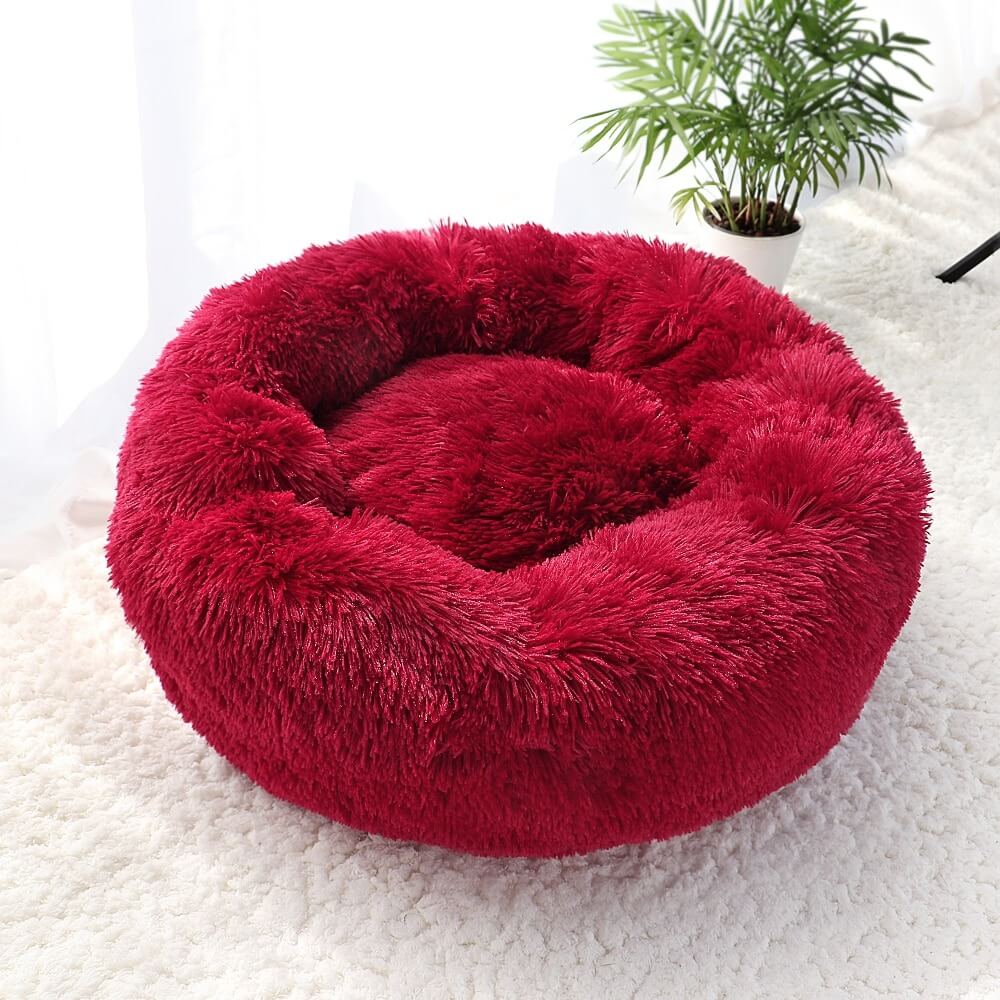 soothing dog bed